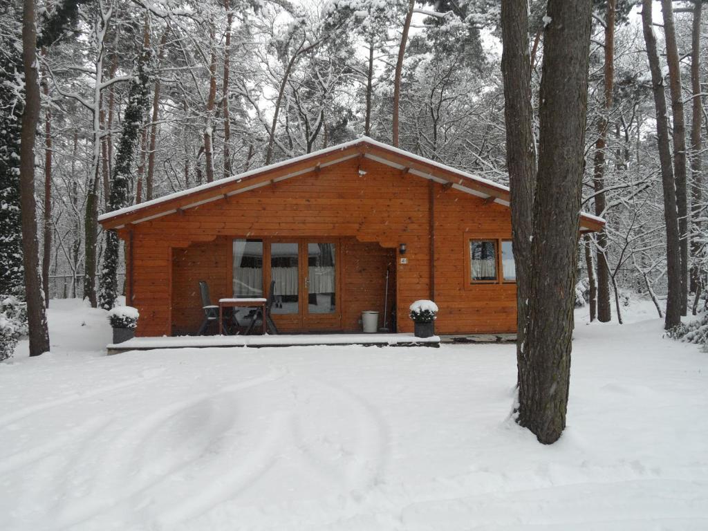 Motel- Bungalow-& Chaletpark de Brenkberg Schinveld Exterior foto