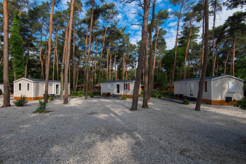 Motel- Bungalow-& Chaletpark de Brenkberg Schinveld Zimmer foto